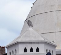 Eglise Sainte-Jeanne-d'Arc photo 3