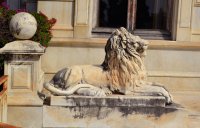 Villa des Palmiers photo 3