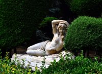 Villa des Palmiers photo 5
